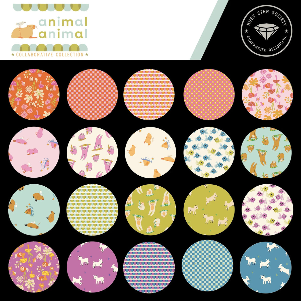 Animal Animal (a collaborative collection)