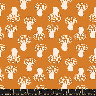 Honey Mushroom in Earth - FQ or more